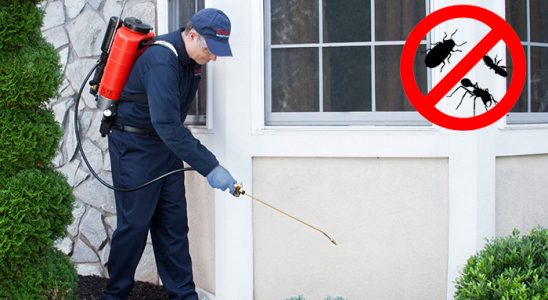 Yalova Böcek İlaçlama böcek ilaçlama ve haşere kontrolü — ilaclama-tr.com